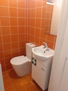 łazienka z toaletą i umywalką w obiekcie Casa Aveiro Praça Do Peixe w mieście Aveiro
