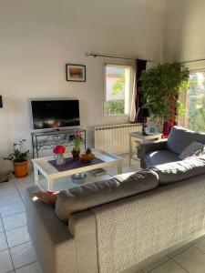 ein Wohnzimmer mit Sofa und Tisch in der Unterkunft Charmante villa au calme proche de Montpellier, mer et rivière Animaux acceptés in Saint-Gély-du-Fesc