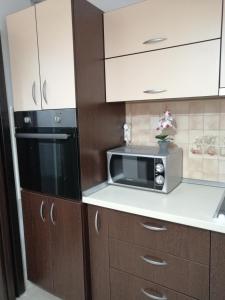 un forno a microonde su un bancone in cucina di Studio Old Center a Braşov