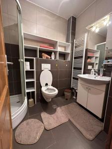 uma casa de banho com um WC e um lavatório em Apartman Edita em Sarajevo
