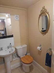 La salle de bains est pourvue de toilettes, d'un lavabo et d'un miroir. dans l'établissement Shakespeare, à Measham