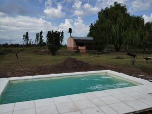 ein Pool auf einem Feld mit Kühen im Hintergrund in der Unterkunft CABAÑA NUESTRO HOGAR in San Rafael + 23 Fotos