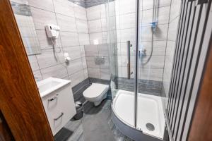 a bathroom with a shower and a toilet and a sink at Leśny Dworek in Łabowa +25 photos