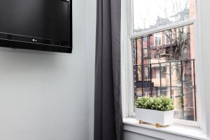 Μια τηλεόραση ή/και κέντρο ψυχαγωγίας στο Cozy Studio on Newbury Street, #1