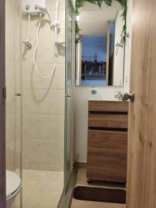 a bathroom with a shower and a toilet and a sink at Aparta estudio en la candelaria WiFi rápido-a pasos del museo de oro in Bogotá +15 photos