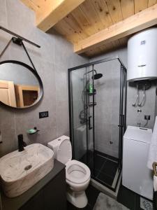y baño con ducha, aseo y lavamanos. en Apartment Homeland, en Kolašin