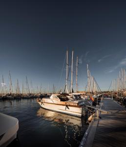 un barco está atracado en un muelle en el agua en Alojamiento en Barco Oasis, en Valencia