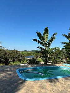 uma pequena piscina com uma palmeira ao fundo em Refúgio vila das figueiras ! em Torres