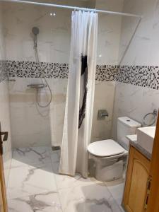 a bathroom with a shower and a toilet and a sink at Mirleft Seaside Horizon in Mirleft +48 photos