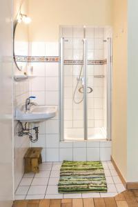 y baño con lavabo y ducha. en Immenhof, en Flensburg