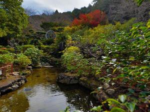 Paesaggio naturale nelle vicinanze del ryokan
