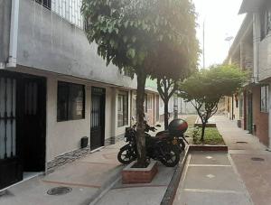伊瓦格的住宿－Casa Blanca，停在建筑物旁边的一棵树旁的摩托车