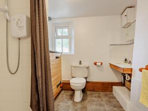a bathroom with a toilet and a sink at 3 Bed in Machynlleth 93080 in Cemmaes
