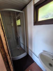 y baño con ducha acristalada y lavamanos. en Refugio Jemmy Button en Puerto Williams