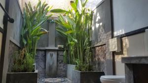 baño con aseo y algunas plantas en Doubleyou Homestay Pemuteran en Pemuteran