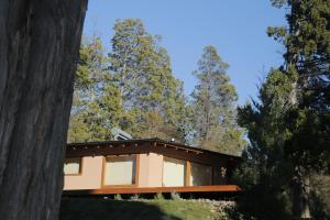 ein Haus im Wald mit Bäumen in der Unterkunft La casita del Bosque in Trevelín