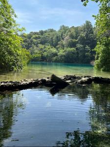 una masa de agua con árboles en el fondo en Becaville en Port Antonio