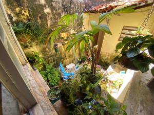 uma varanda cheia de plantas e uma cadeira azul em Yorukàsa em São Luís