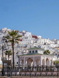 a white building with a palm tree in front of a city at Flat In Tetouan City Centre Medina - NEW Dar Azhar in Tetouan
