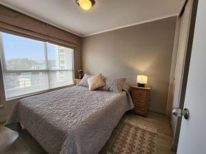 ein Schlafzimmer mit einem Bett und einem großen Fenster in der Unterkunft Acogedor Apartamento en Centro de Santiago. in Santiago