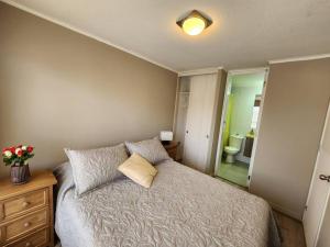 een slaapkamer met een bed en een badkamer met een spiegel bij Acogedor Apartamento en Centro de Santiago. in Santiago