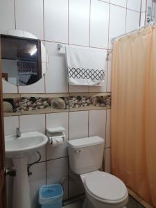 une salle de bain avec toilettes, lavabo et miroir dans l'établissement Villa1 Coral Carrillo, à Arbolito