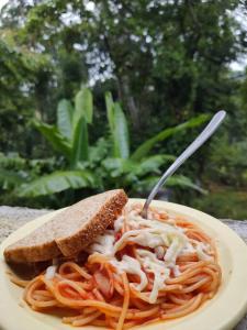 einen Teller Spaghetti und ein Stück Brot mit Gabel in der Unterkunft Casa de campo en reserva ecológica in San Martín Zapotitlán