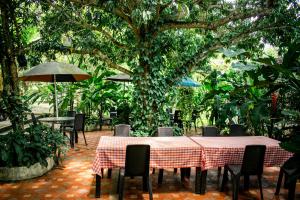 Hostal Chez Holman في San Luis: فناء به طاولات وكراسي وشجرة