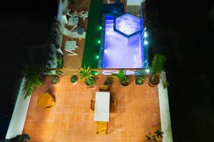 Bazén v ubytování EXCLUSIVE CONDO GALAPAGOS and BEYOND 1 nebo v jeho okolí