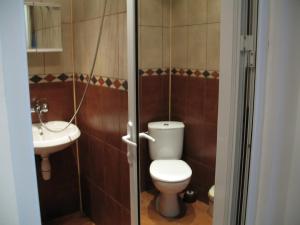 a bathroom with a toilet and a sink at Apartment Planinski Rai in Tryavna