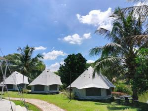 three tents in a field with palm trees at Inap Dusun Fraser Valley Kuala Kubu Bharu in Kuala Kubu Baharu