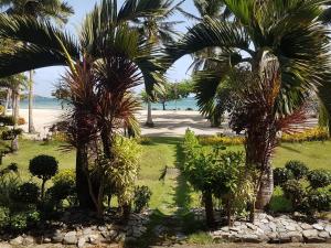 a garden with palm trees and the beach at Aglicay Beach Resort in Romblon