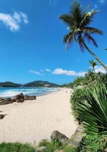a beach with a palm tree and the ocean at Suíte Beach Host - Praia Pernambuco in Guarujá