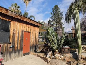 un pequeño edificio de madera con un cactus al lado en Rustic Rooms Barn Loft (Upstairs Studio Apartment) Near Kings Canyon & Sequoia National Parks, en Squaw Valley