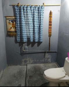a bathroom with a toilet and a shower curtain at Posada Hortencia in Aguascalientes