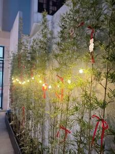 een tentoonstelling van kerstbomen met lichten erop bij 9BR villa, 200m from the sea in Da Nang