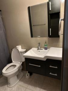 a bathroom with a white toilet and a sink at Countryside - Secluded NEAR LAGOON, RIVER and BEACH. First floor in Vega Baja