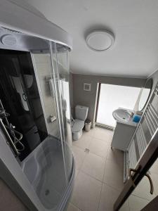 a bathroom with a shower and a sink and a toilet at Cabana LUCDAR Valiug Crivaia in Văliug