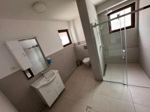 a bathroom with a shower and a toilet and a sink at Cabana LUCDAR Valiug Crivaia in Văliug