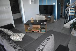 sala de estar con sofá y TV en Au Coeur des hauts Cilaos en Cilaos