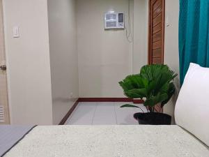 a bedroom with a bed and a potted plant at #1 Green Room Inn Siargao in General Luna