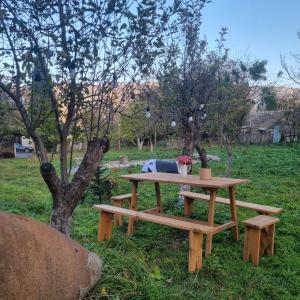 Vrt pred nastanitvijo Hooni_guesthouse