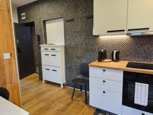 Kuchnia lub aneks kuchenny w obiekcie URBAN APARTMENTS Premium No 3, FREE PRIVATE PARKING, Self CHECK-IN