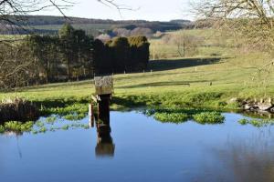 Paesaggio naturale nelle vicinanze dell'appartamento