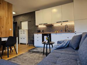 Kuchnia lub aneks kuchenny w obiekcie URBAN APARTMENTS Premium No 3, FREE PRIVATE PARKING, Self CHECK-IN