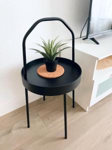 a black table with a potted plant on it at Céntrico piso con parking disponible by beBalmy in Málaga