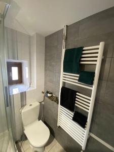La salle de bains est pourvue de toilettes et de serviettes sur une étagère. dans l'établissement « Grand Verger » - parking gratuit, à Chambéry