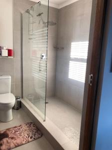 a bathroom with a glass shower with a toilet at Sunset View Self catering Cottage in Underberg