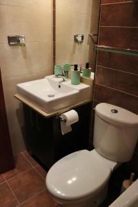 a bathroom with a white toilet and a sink at Apartament Casa Gerdera in Rialp