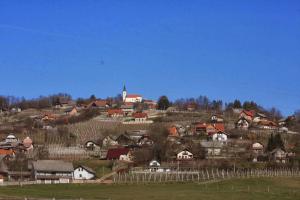 a village on a hill with houses and a church at Apartment Prešeren in Smarjeske Toplice +30 photos
